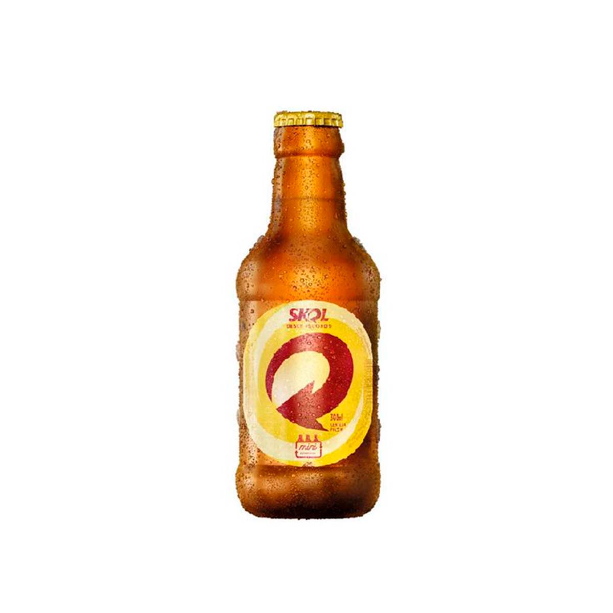 Cerveja skol 300ml